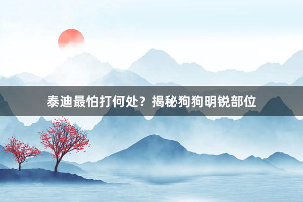泰迪最怕打何处？揭秘狗狗明锐部位