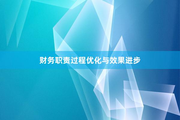 财务职责过程优化与效果进步